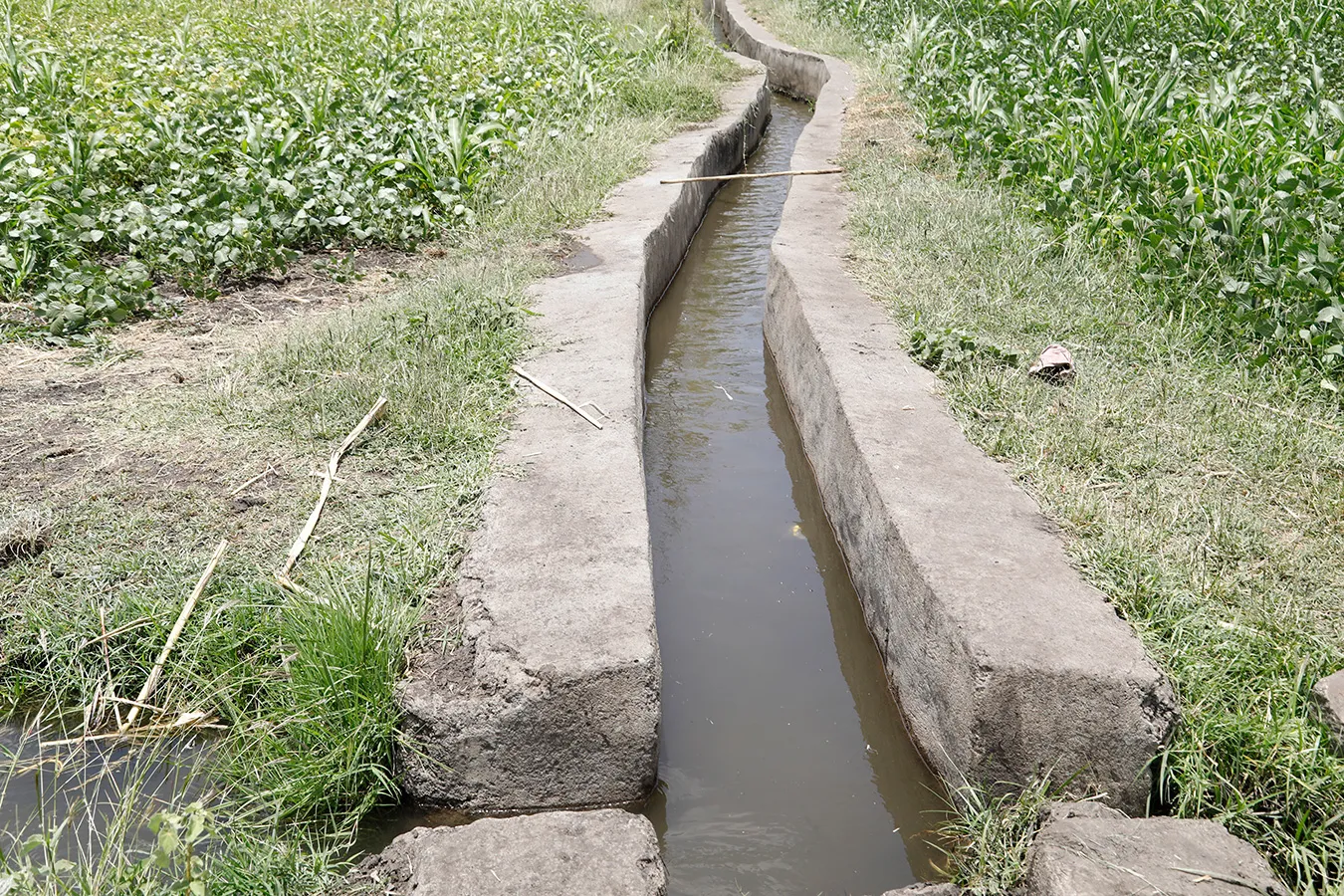Irrigation development