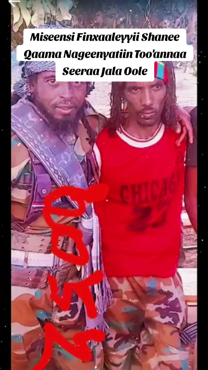 TikTok Thumbnail